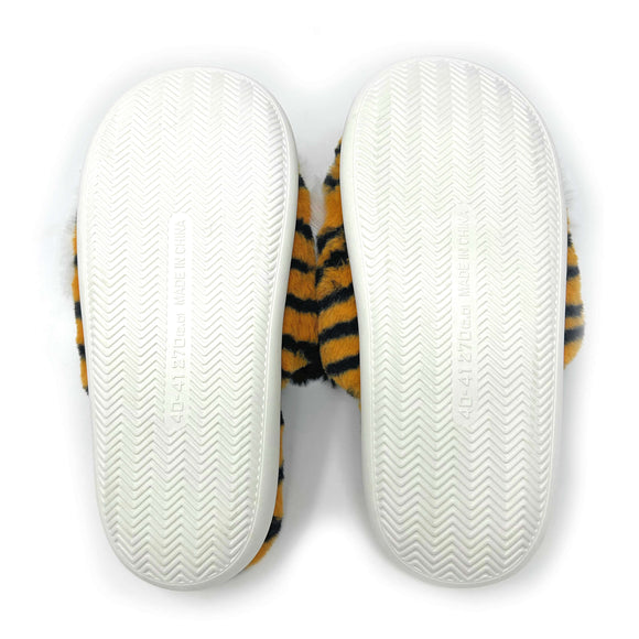 Tiger Roar Slides