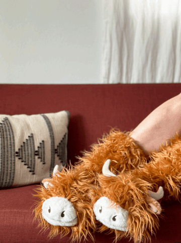 Highland Cattle Slipper Socks - 0