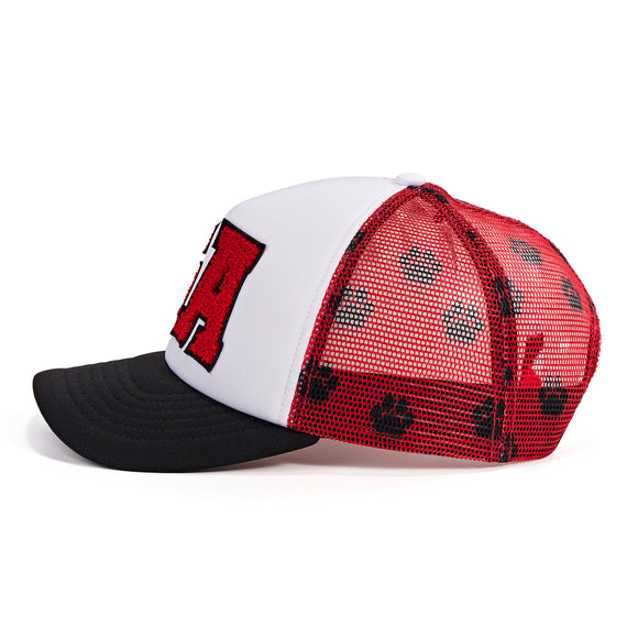 Go Georgia Hat