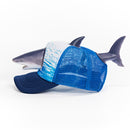 Shark Hat-2