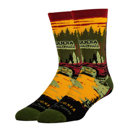Sequoia Men's Socks