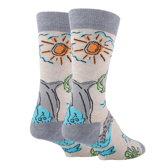 Dolphin Views - Men's Crew Socks