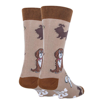 Shih Tzu Not Socks