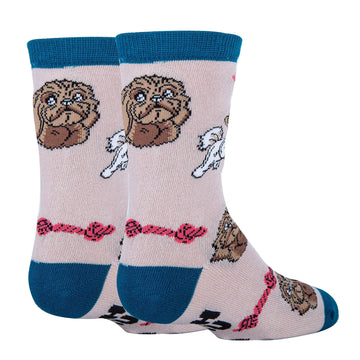 Shih Tzu Not Socks