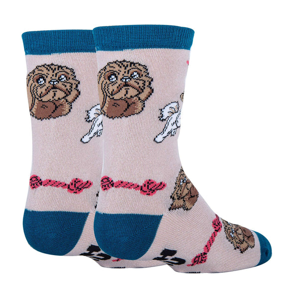 Shih Tzu Not Socks