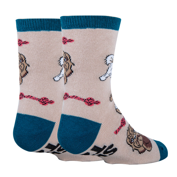 Shih Tzu Not Socks